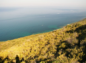 Tuscany Pictures | Maremma Uccellina Tuscany Pictures | Maremma Uccellina