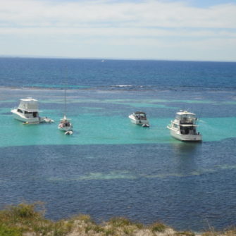 Rottnest Island - 5 Things to do in Fremantle - being30.com