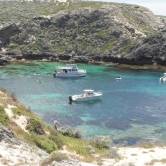 Rottnest Island - 5 Things to do in Fremantle - being30.com