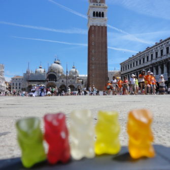 Bears in St Marks Square | Bears on Tour | being30.com