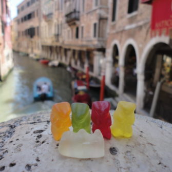 Concerned Bears in Venice | Bears on Tour | being30.com