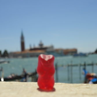 Bear in Venice | Bears on Tour | being30.com
