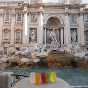 Bears in Front of Trevi Fountain | Bears on Tour | being30.com