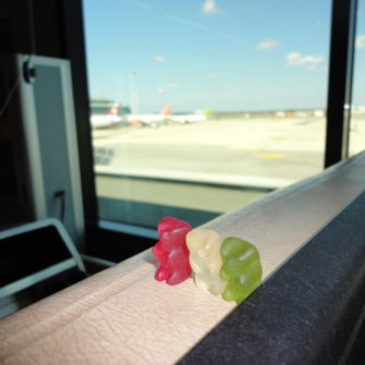 Bears at the Airport | Bears on Tour | being30.com