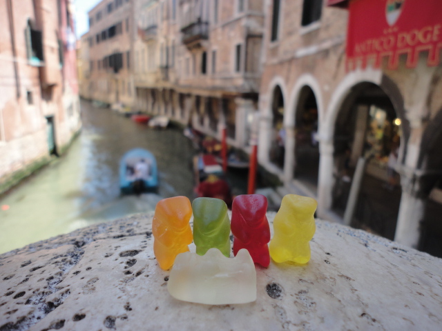 Concerned Bears in Venice