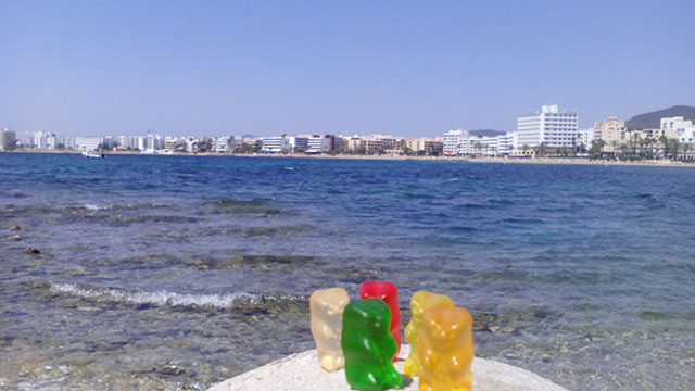 Bears in Ibiza