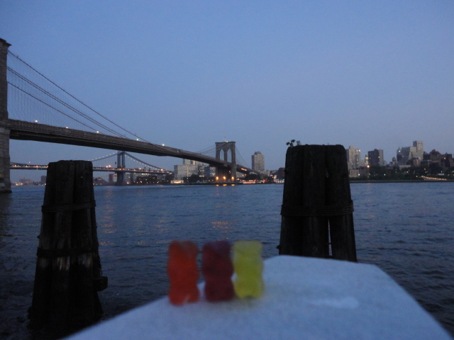 Bears in NYC Brooklyn Bridge