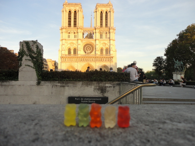 Paris - Bears outside Notre Dame